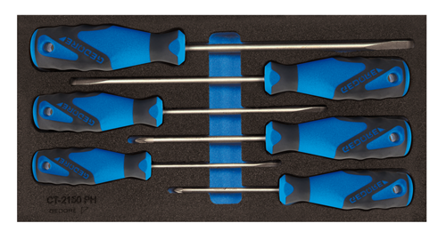 Screwdriver set in CT module 6 pieces SL+PZ - 2309149 (1)
