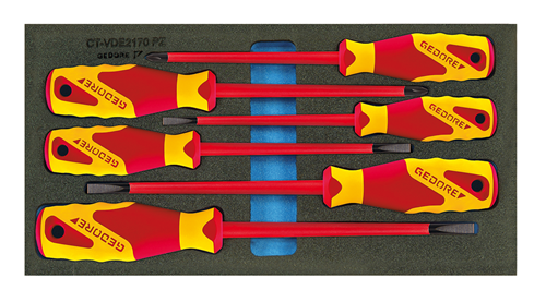 VDE screwdriver in CT module - 2309173 (1)