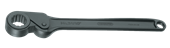Freilaufknarre mit Ring 30" UD-Profil 65 mm - 6257010