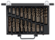 Twist drill set 170 pieces Ø 1-10mm 0.5 pitch - 3301612 (1) (Thumbnail)