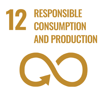 Icon sustainable consumption and production