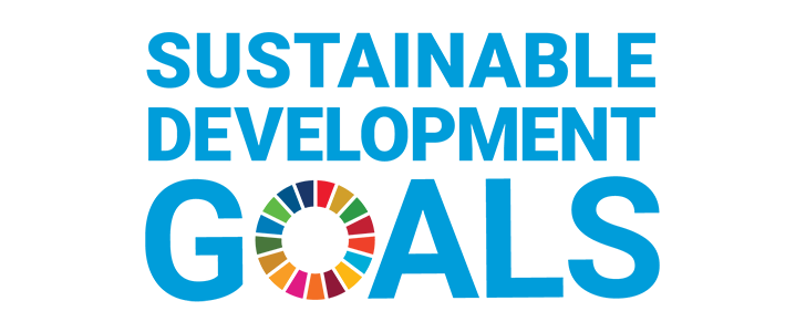 Logo of the United Nations Sustainable Development Goals